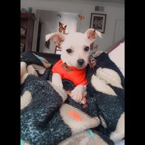 Meet your Posher, Kimberly